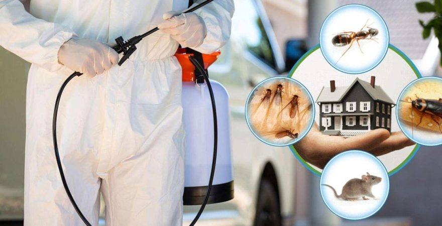 Kandıra Böcek İlaçlama
