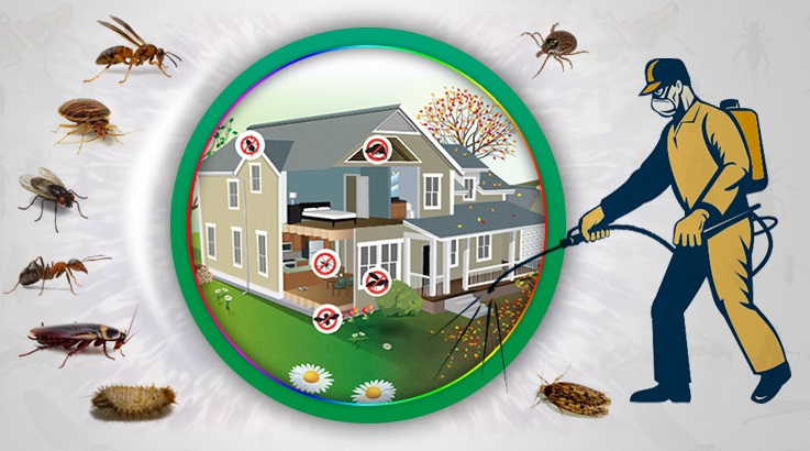 Kandıra Böcek İlaçlama