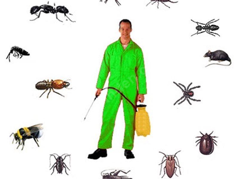 Kandıra Böcek İlaçlama